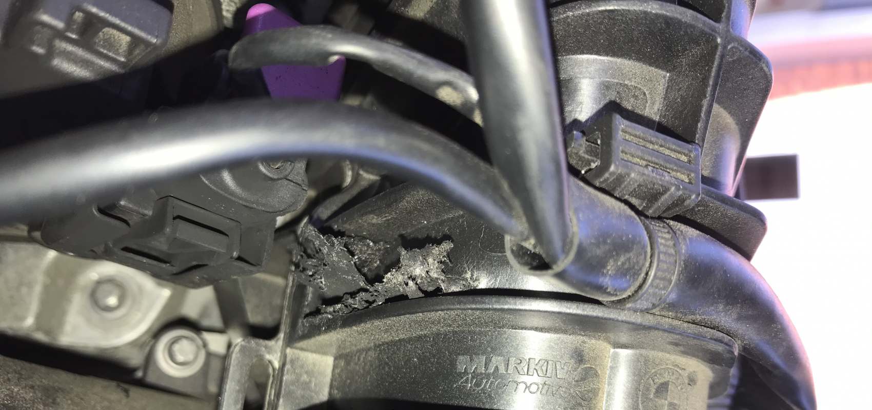 AMT Diagnose Garageforum
